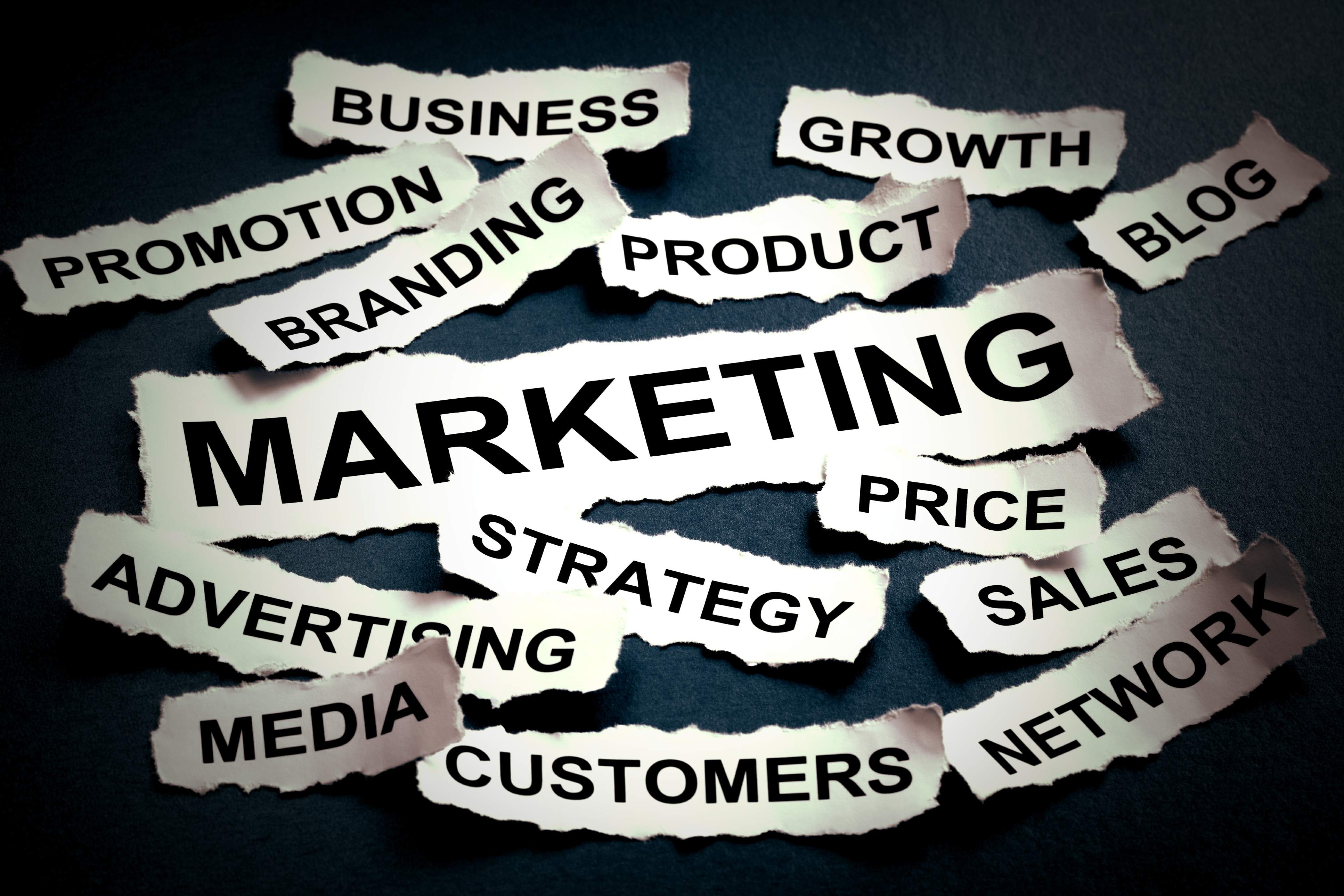 Marketing Agency Image (What We Offer Section)